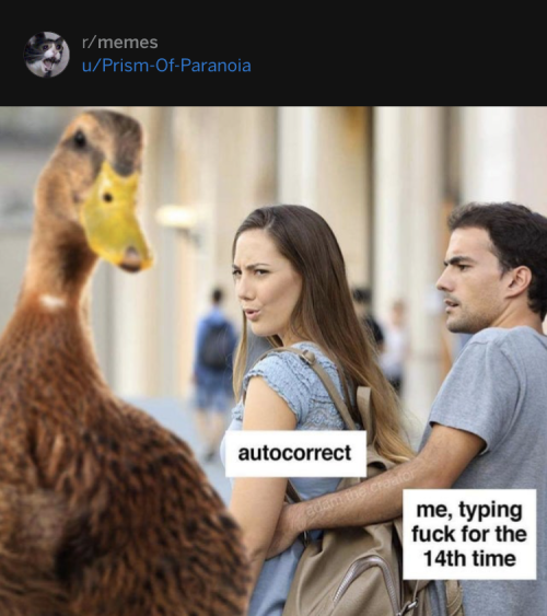 autocorrect