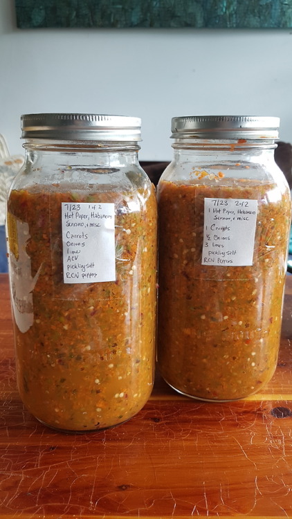 July 2018 - More ferment using work peppers!Yes, more free peppers! From plants that I’ve been lovin