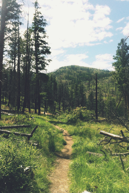 man-and-camera:  Wild Horse Canyon Trail ➾ Luke Gram   