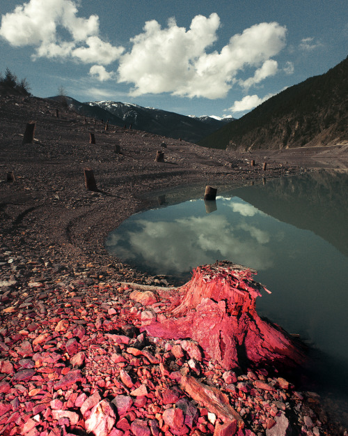 darksilenceinsuburbia:    Benoit Paillé: The Kitsch Destruction of Our World