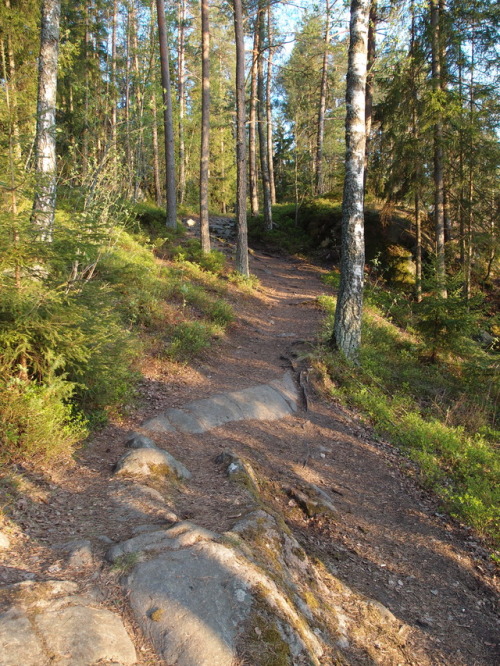 Nature trail