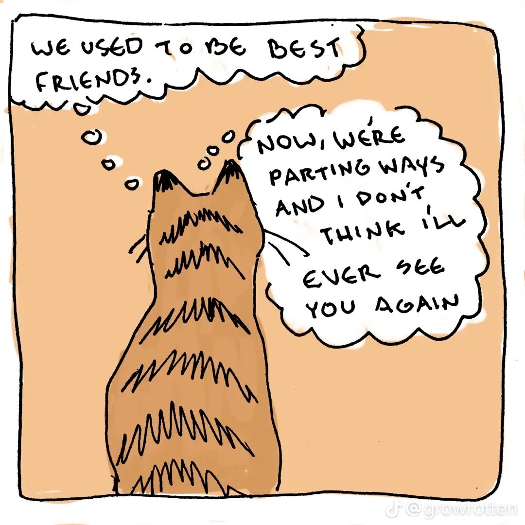 Bpd4losers On Tumblr bpd4losers-on-tumblr