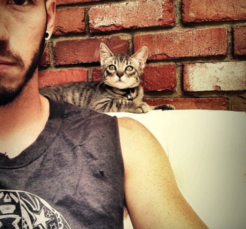 bandboysandpuppies:Caturday!Josh Dun - Twenty Øne Piløts