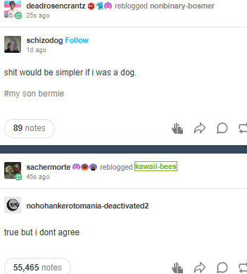 Tumblr media