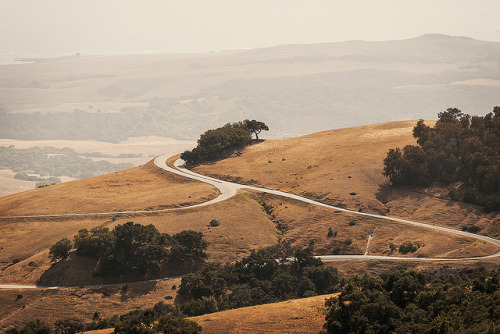 San Simeon Hills on Flickr by Emma Canfield Taken on 06.22.2014