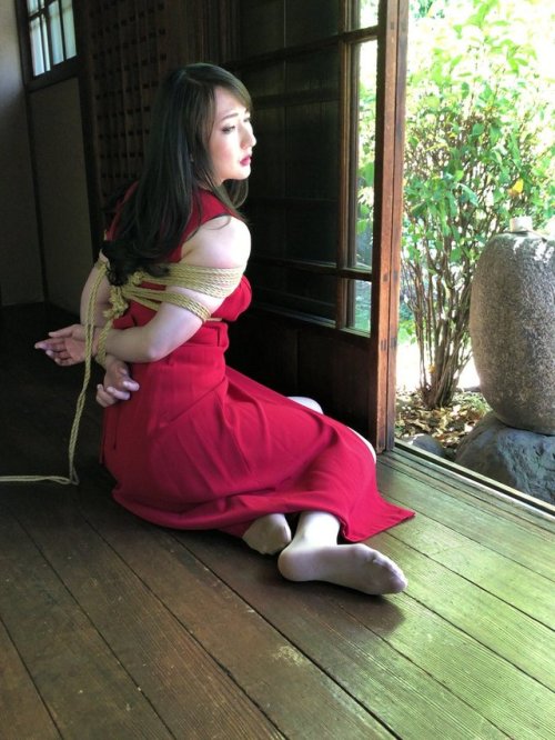 justscreenshots:Shibari Naka Akira Model Yuri NikaidoPhoto Sanwa