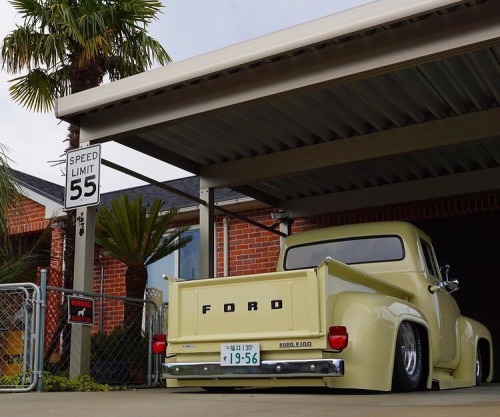radracer:1956 Ford F100 Pickup 