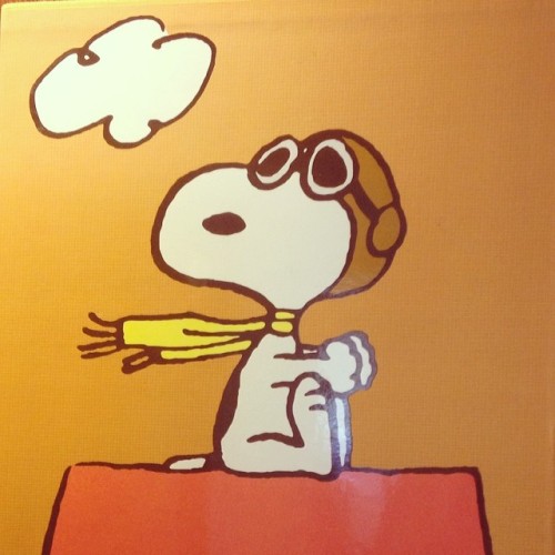 gocomics: It’s a beautiful day here in Kansas City. I think #Snoopy has the right idea! #gocomics #p