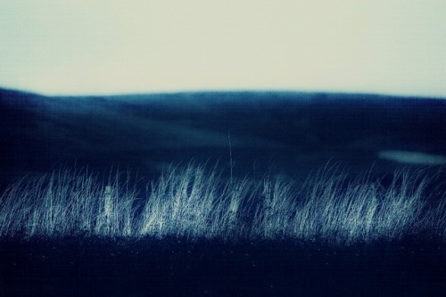 idavidbeattie: No Barriers,…………… Photograph and Image ©David Beattie 2017………… 