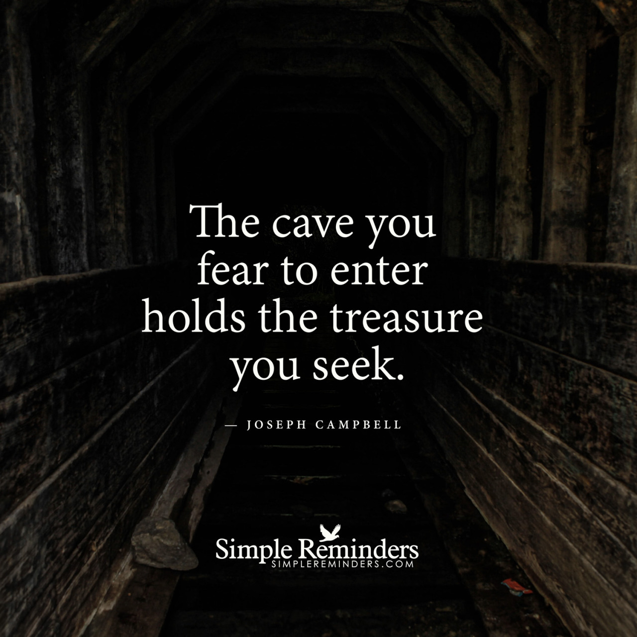 mysimplereminders:  “The cave you fear to enter holds the treasure you seek.”