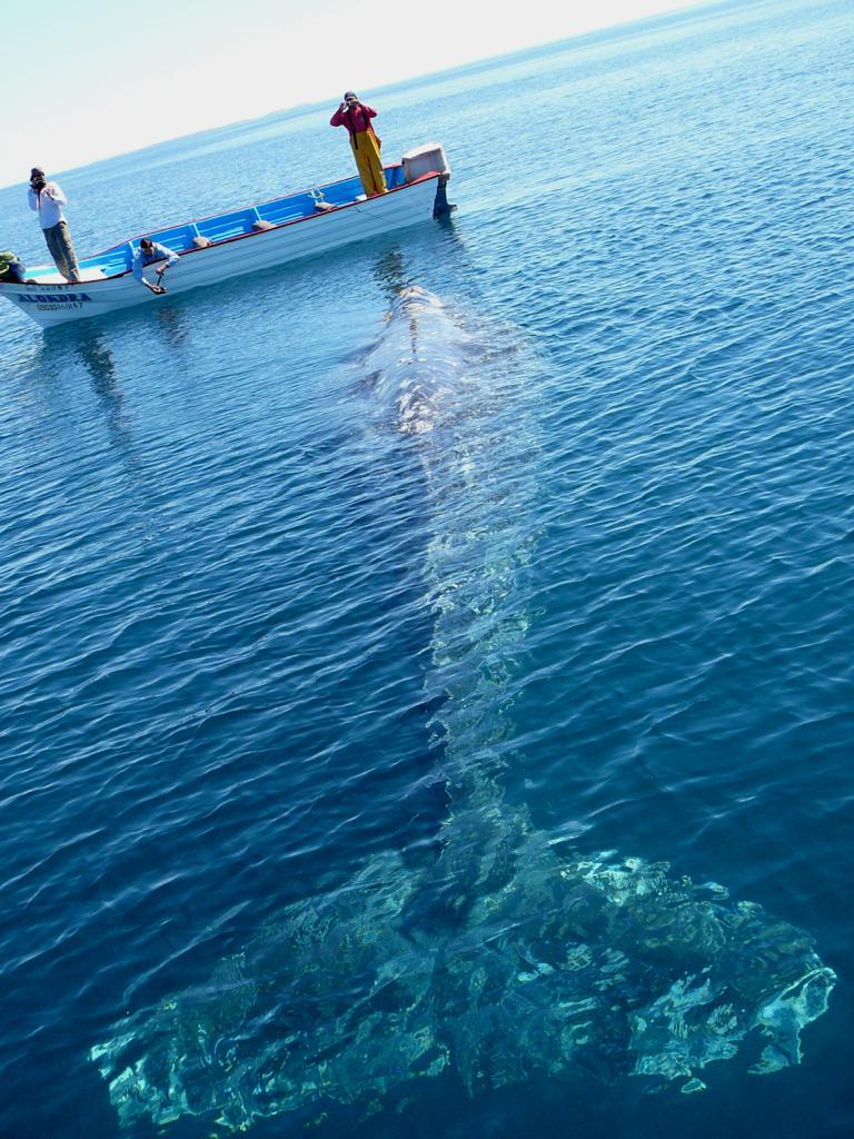 stunningpicture:  Once in a lifetime