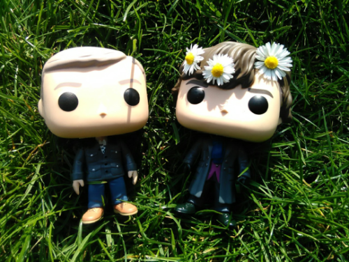 johnlockiseternal: John put flowers in Sherlock’s hair. Sherlock didn’t even notice beca