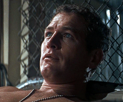 cinemaspast: Paul Newman as LukeCOOL HAND LUKE (1967) dir. Stuart Rosenberg 
