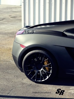    Gallardo sitting on PUR 2WO wheels Like