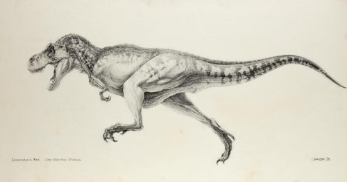 T-Rex designs by Mark McCreery, for Jurassic Park (1993). A great design too, although I believ