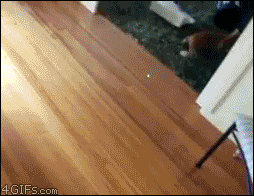 https://69.media.tumblr.com/cdfb208d23bd6f0ff8e3bd59ebe0e848/tumblr_mo8ecrHNho1s2ugglo1_400.gif
