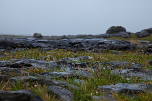 floydno5:The Burren on Flickr.Rugged. Semi-barren. Perfect. The Burren, Ireland.