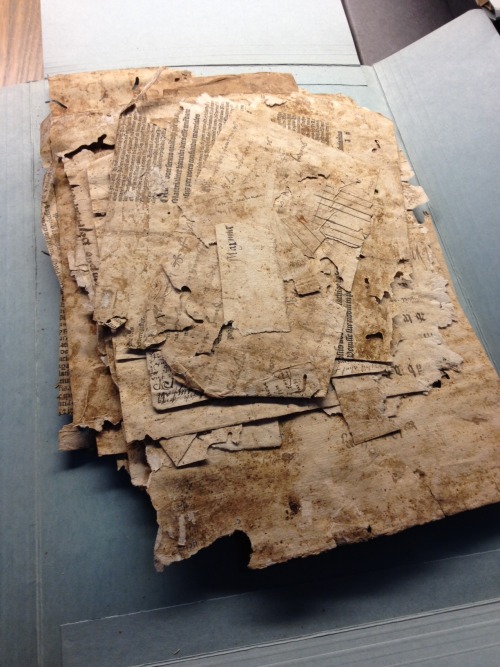 Old envelop
Here is something special. It is an opened envelop that I fished out of a box of medieval archival remainders in the archives of the Dutch city of Maastricht. I was looking for unknown fragments of medieval manuscripts, while wading...