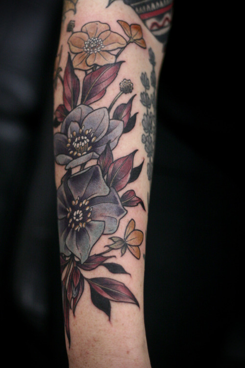 Porn Pics kirstenmakestattoos:  Black hellebore and