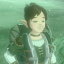zeldatraveller
