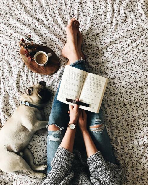 augustmornin: @lolypopp3