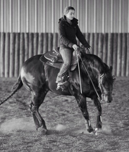 equinely: I love riding him so much!  High Roller Whiz aka Vegas. (West Coast Whiz x Getting Smart) 
