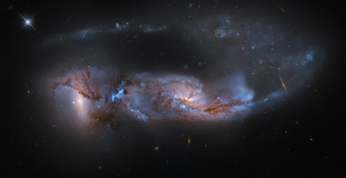Porn space-wallpapers:  Arp 81 Galaxies  photos