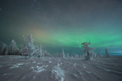 krasna-devica: The Yamal Peninsula, Siberia,