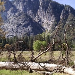 It&rsquo;s still crazy to think about the fact that this is my yard. This is my home. Fuck. #Yosemite