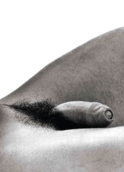 Foreskin Anonymous