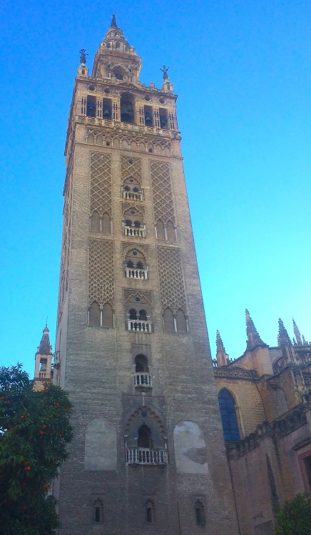 Ver por la mañana temprano de la Giralda, Sevilla, 2016.