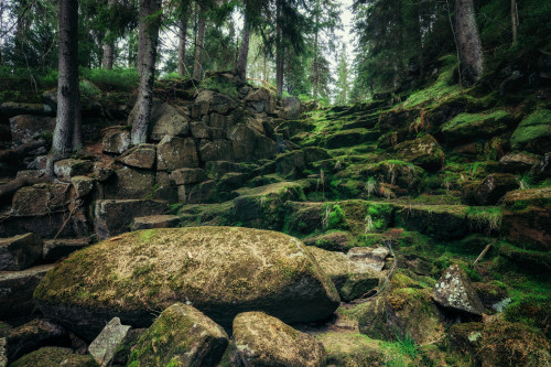 Green step stones by Olli Henze