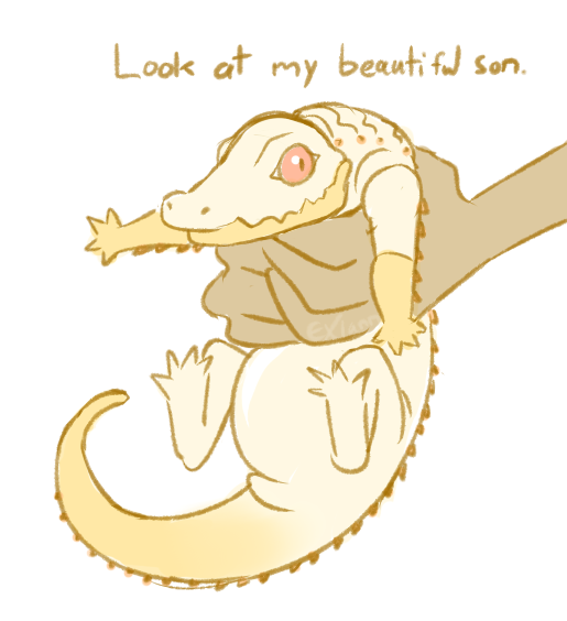 avianalaric:I like to spend my time drawing squishy alligator-esque familiars for