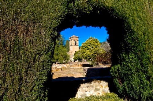 The Alhambra - Granada, Spain