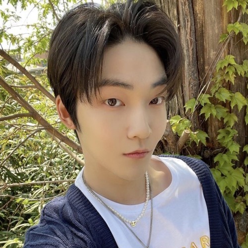 MON SELCA ICONS