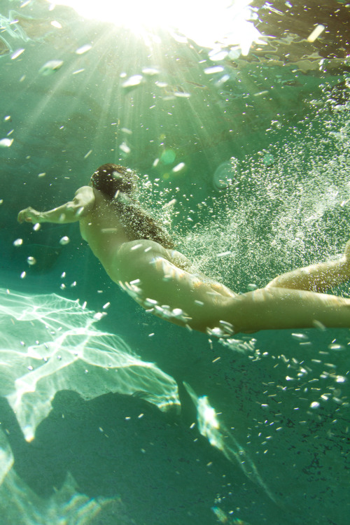 openbooks:  Free Swim. May 2013. 