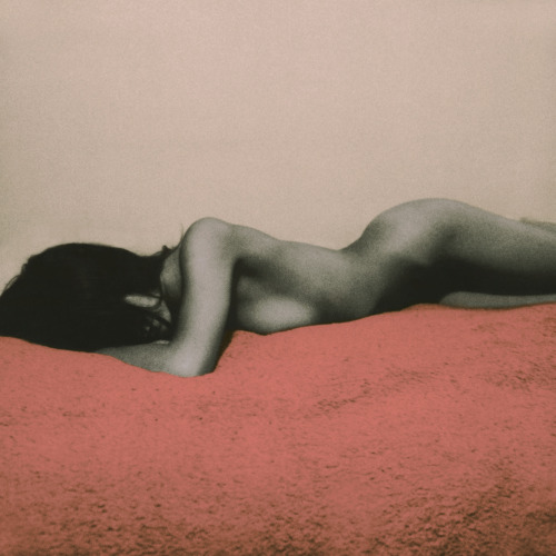 neil krug