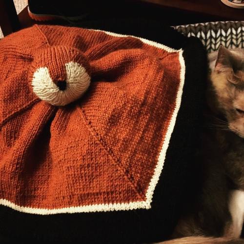 valerieknits:
“ Finally making progress on the body of this Woobie Fox. #knitting
”