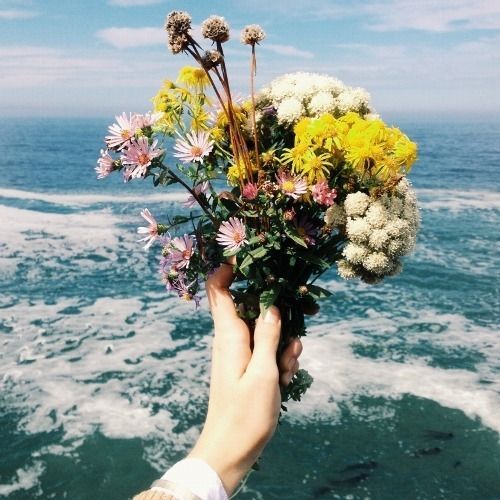 brookbooh: Flowers in the paradise