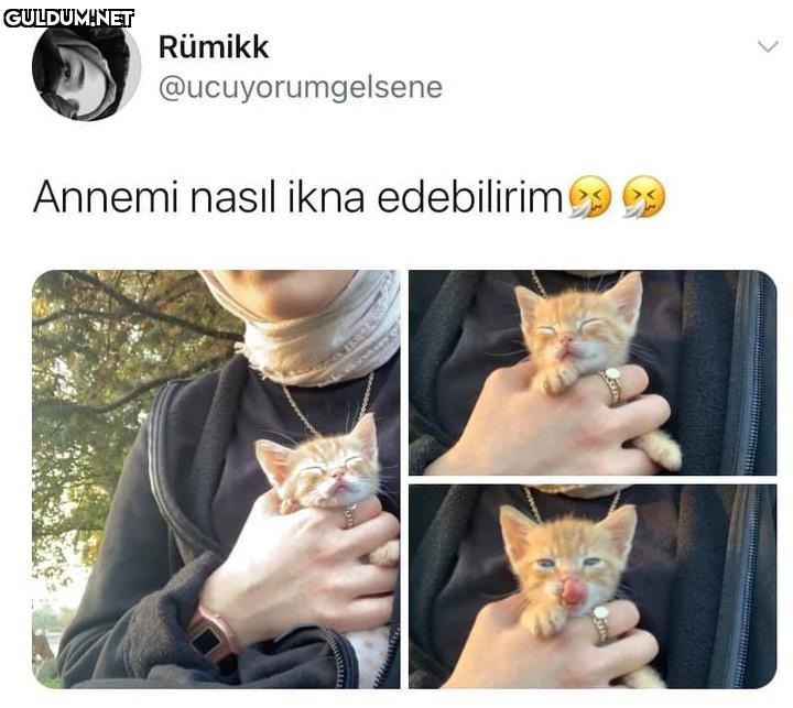 Rümikk @ucuyorumgelsene...