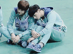 incenesque:  sleepy taozi resting against his junmaho~ 