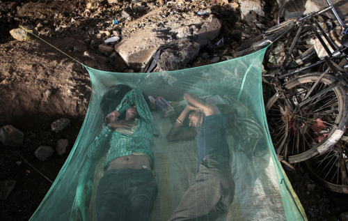 Migrant workers sleep under a mosquito net beneath an overpass in MumbaiJuly 24, 2014Photo by: Danis