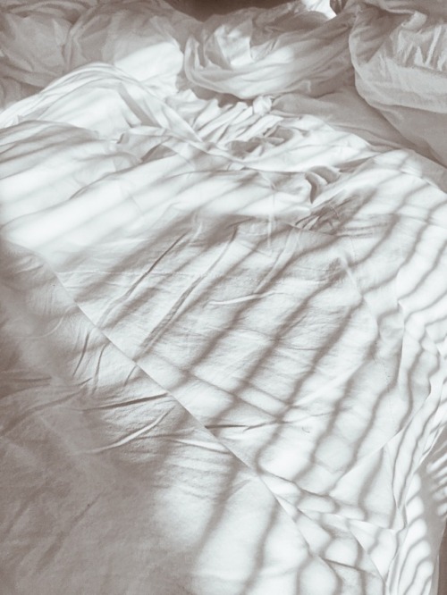 eaerth:there’s a softness in the light