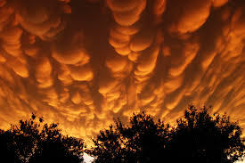 Mammatus, also known as mammatocumulus (meaning “mammary cloud” or “breast cloud”) — is a meteorological term applied to a cellular pattern of pouches hanging underneath the base of a cloud. The name mammatus is derived from