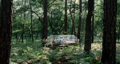 The Tree of Life (2011) - Terrence Malick