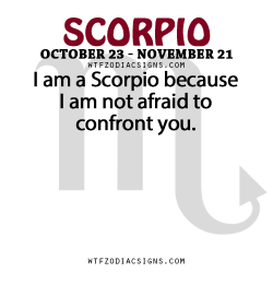 wtfzodiacsigns:  I am a Scorpio because I am not afraid to confront you.   - WTF Zodiac Signs Daily Horoscope!     Actually im very afriad im a terible scorpio sorry