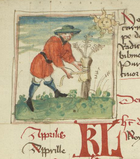 Happy April! Training vines is the Labor of the Month for January, as presented in LJS 449, a 15th c