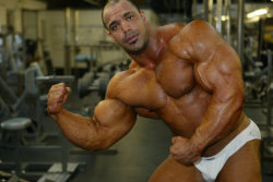 BIG MUSCLE GODS