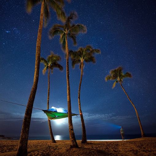 jazzbruce:  Photo by Travis Burke
