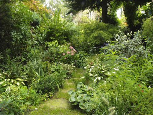 landscapefocused: &lsquo;Meine grüne Leidenschaft&rsquo; from Austria / Private garden 